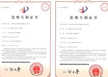 八味肉桂胶囊专利