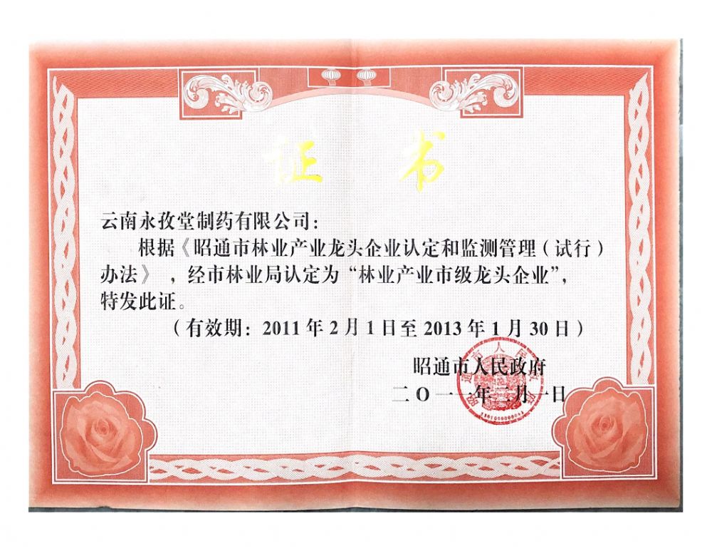 林业产业市级龙头企业