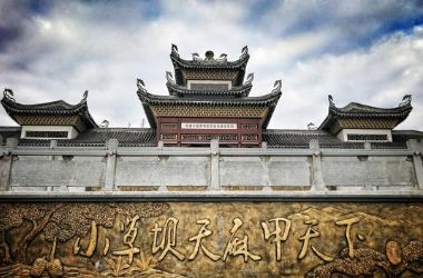 “天麻大王”回故乡