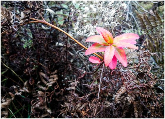 20250427102785.jpg 20180124151400540.jpg