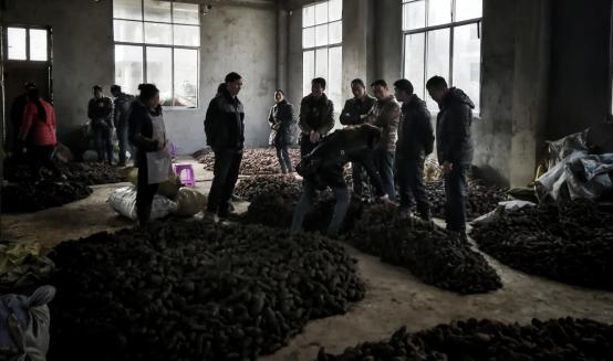 20250427103379.jpg 20180115095735533.jpg