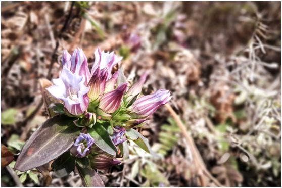 20250427104463.jpg 20180124151400431.jpg