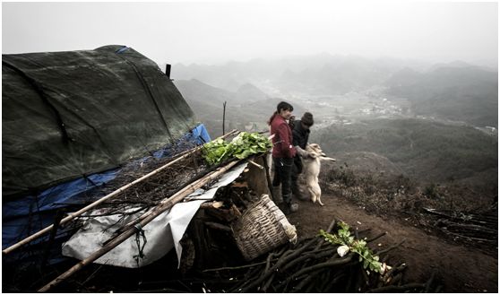 20250427107119.jpg 20180124151359864.jpg