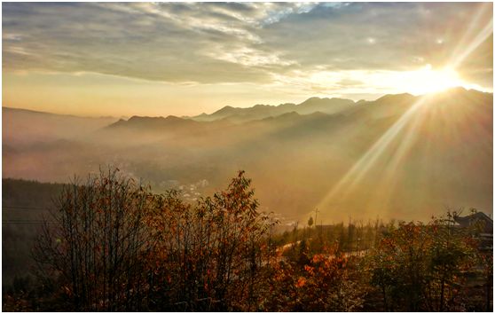 20250427111546.jpg 20180124151401382.jpg