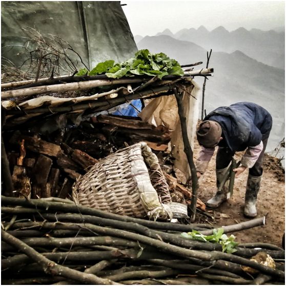 20250427113470.jpg 20180124151400989.jpg