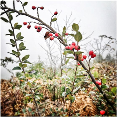 20250427119727.jpg 20191127085199789978.jpg