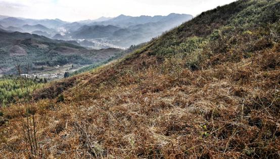 20250427134345.jpg 20180115095734912.jpg