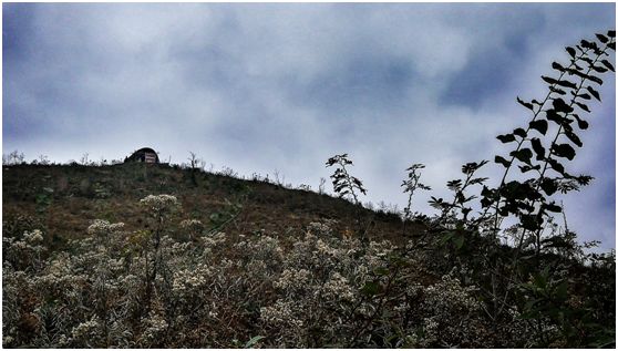 20250427134771.jpg 20180124151359359.jpg