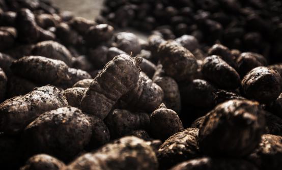 20250427458417.jpg 20180115095735693.jpg