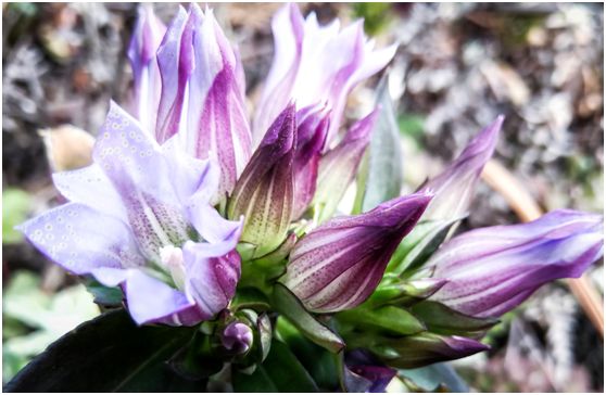 20250427532647.jpg 20180124151358239.jpg