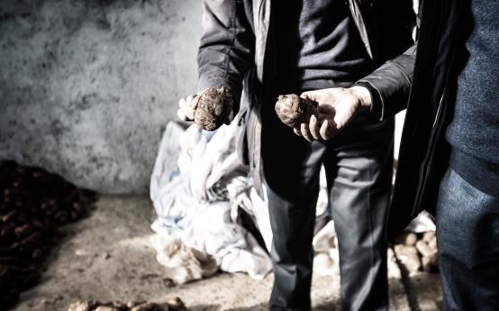 20250427603735.jpg 20180115095735696.jpg