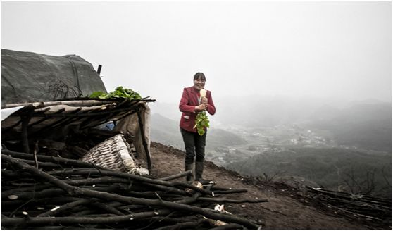 20250427658902.jpg 20180124151401158.jpg