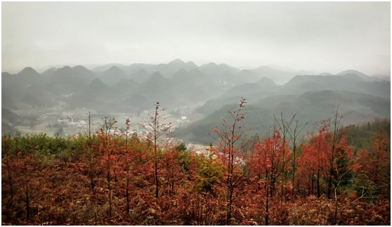 20250427682354.jpg 20180124151400204.jpg