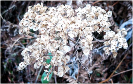 20250427711917.jpg 20180124151401834.jpg