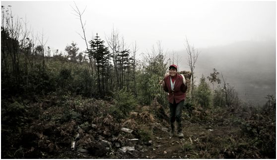 20250427732874.jpg 20180124151359813.jpg