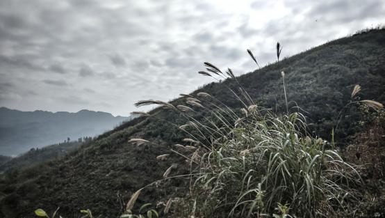 20250427793592.jpg 20180115095734800.jpg