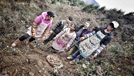 20250427841701.jpg 20180115095734122.jpg