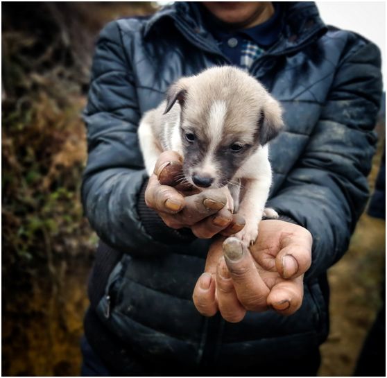 20250427965374.jpg 20180124151400762.jpg