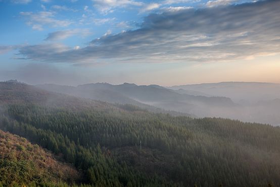 20250507104451.jpg 9.jpg