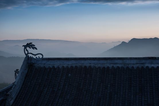 20250507112893.jpg 6.jpg