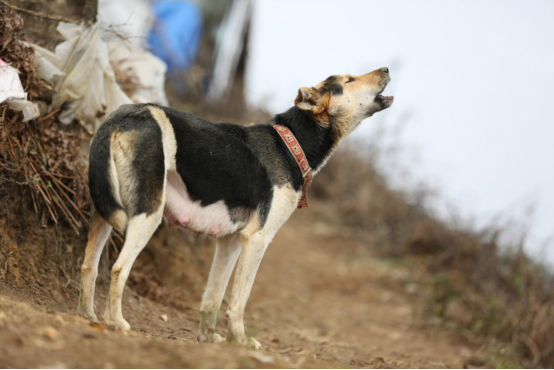 20250507137878.png 6.png