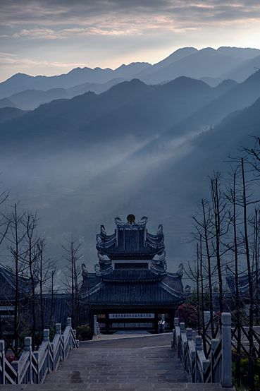 20250507334787.jpg 5.jpg