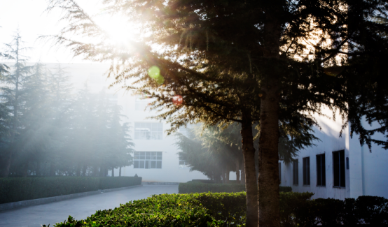 20250507358325.png 3.png