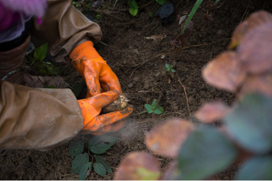 20250507415041.png 14.png