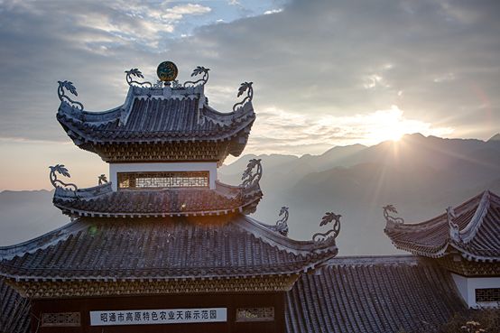 20250507420076.jpg 7.jpg