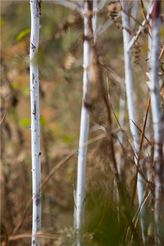 20250507521373.png 13.png