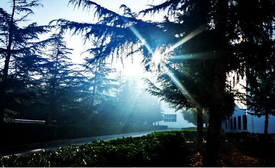 20250507607996.png 15.png