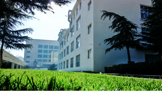 20250507609459.png 10.png