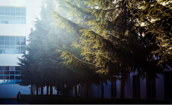 20250507732228.png 4.png