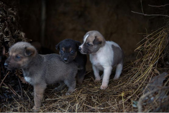 20250507744966.png 7.png