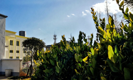 20250507831072.png 14.png