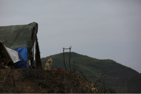 20250507831632.png 4.png