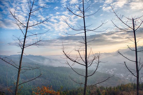 20250507851168.jpg 11.jpg