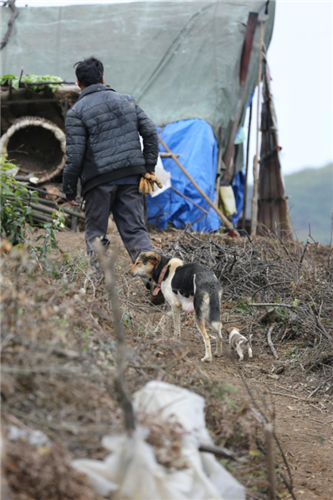 20250507919589.png 9.png