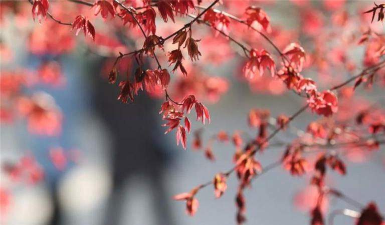 原创丨这一次，只为你而来