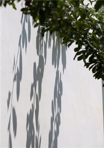 20250508100109.jpg 12.jpg