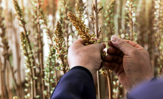 20250508104068.jpg 14.jpg