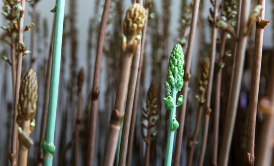 20250508107205.jpg 5.jpg