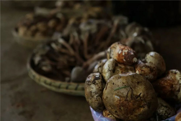 20250508109498.jpg 18.jpg