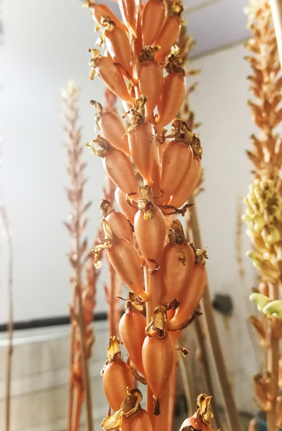 20250508110402.jpg 13.jpg