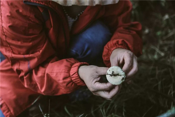 20250508111800.jpg 10.jpg