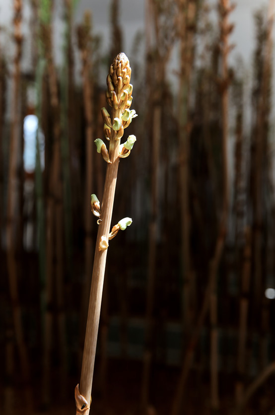 20250508121155.jpg 6.jpg