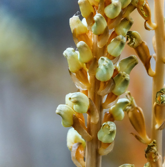 20250508123712.jpg 11.jpg