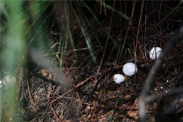 20250508127516.jpg 9.jpg