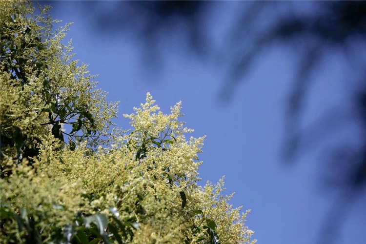 20250508218429.jpg 20250508218429.jpg