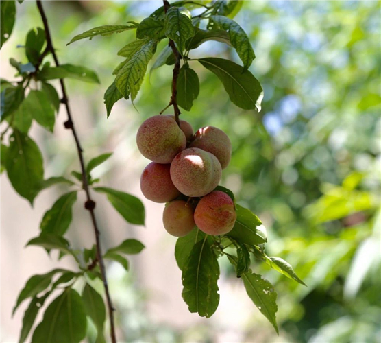 20250508260170.jpg 14.jpg